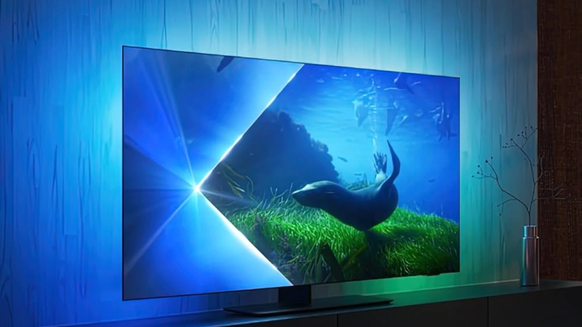 philips-tv-ambiance-sous-marine-otarie