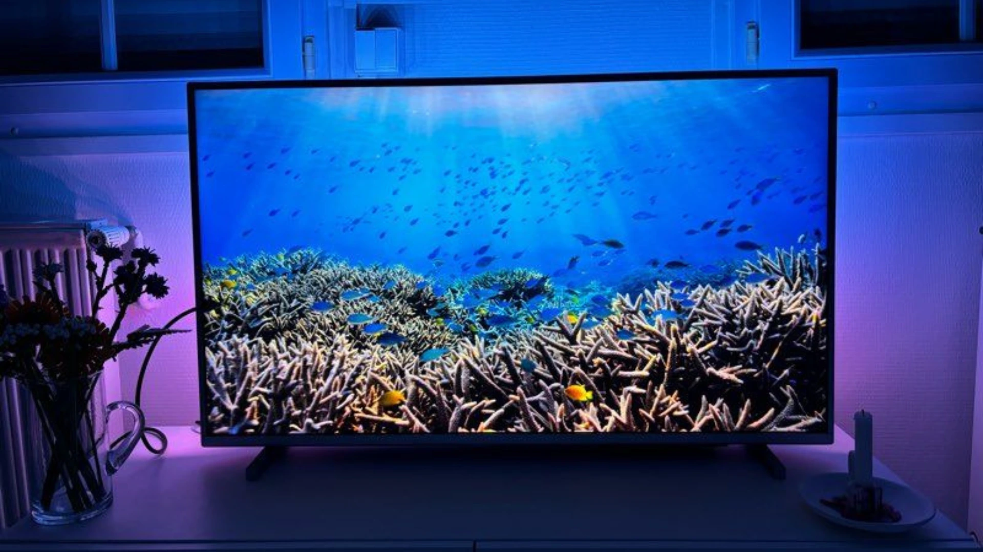 philips-tv-ambiance-sous-marine-recif-corallien